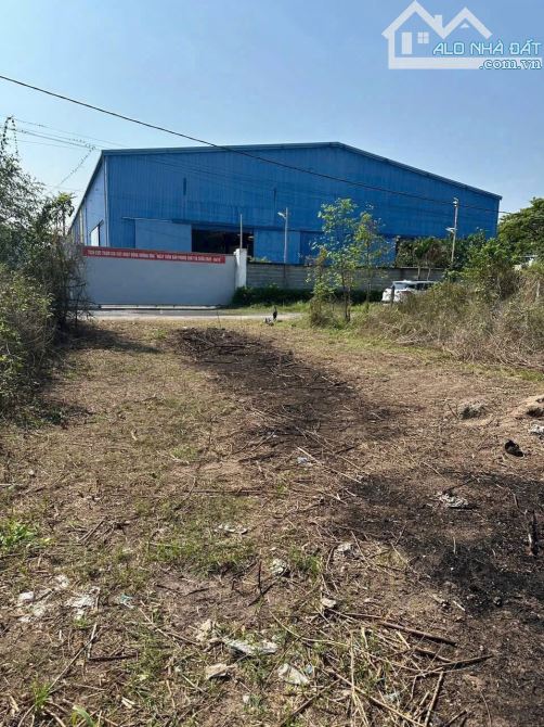 Cần bán đất ngộp 1/ Đường Nhuận Đức xã Nhuận Đức 5x21 tổng 103m2 full thổ cư xây dựng liền