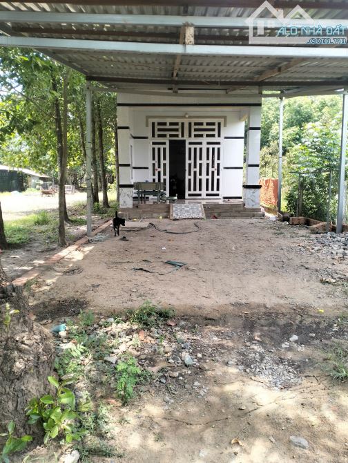 ĐẤT VƯỜN 6M X 56M LỘC HÒA LỘC HƯNG SHR GIÁ 950 TRIỆU THƯƠNG LƯỢNG