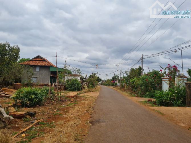 8,2 sào 300m thổ cư hai mặt tiền đường nhựa tại Ea Kued Cư Mgar DakLak