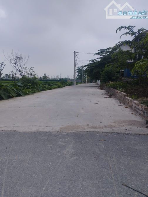 🚨 "Hàng Hiếm Đấu Giá – Vị Trí Không Thể Đẹp Hơn!" - 1