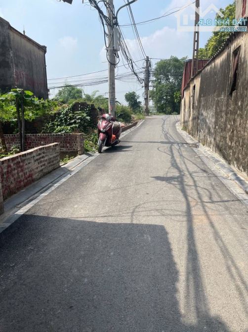Hàng hiếm rẻ đẹp 👉 khai thái - phú xuyên - 1