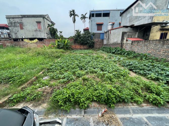 Cần bán đất Liên Hà, lô góc, ô tô chạy vòng quanh, giá hơn 3 tỷ - 1