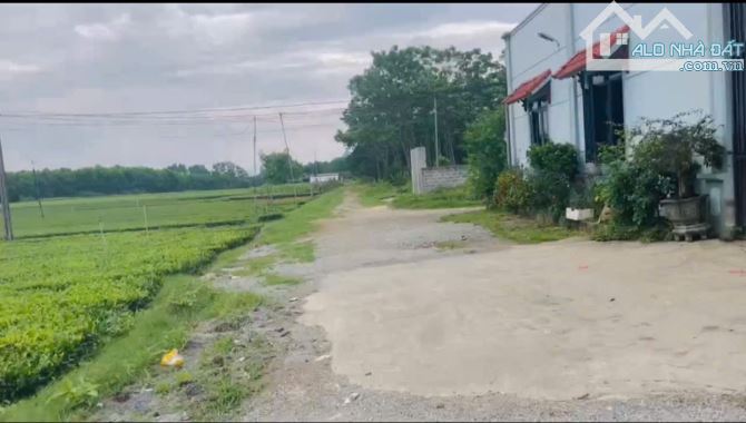 Bán đất 125m phú thành lạc thủy hoà bình làn 2 quốc lô 21 giá chỉ 600tr - 1