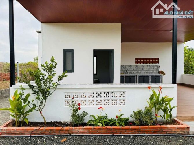 BÁN VIEW NGHĨ DƯỠNG TẠI LONG TÂN ĐẤT ĐỎ, DT 1055M2 CO 300TC, CÓ NHÀ CÂP 4 - 1