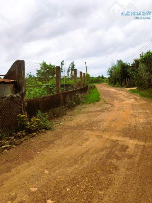 BÁN ĐẤT LÀM TRANG TRẠI CHĂN NUÔI DT 35216M2 CÓ 150M MẶT TIỀN ĐƯỜNG CHỈ 11 TỶ - 1