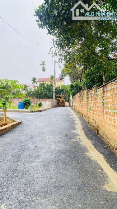 CHÍNH CHỦ CẦN BÁN GẤP LÔ ĐẤT 63,5M² – ĐẸP NGAY TRỤC ĐƯỜNG THÔN HOÀNG XÁ, LẠI THƯỢNG, THẠCH - 1