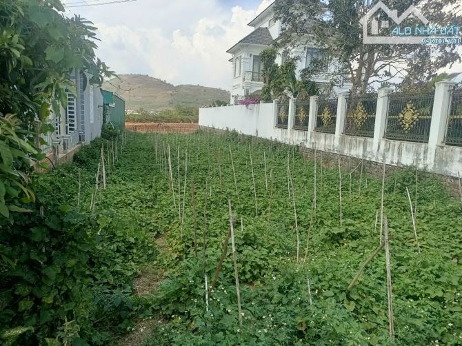 Bán đất Mặt tiền DT724 đường Nhựa 12m Dt 12x54m tc200m2 Làm Kho Bãi- Kinh doanh - 1