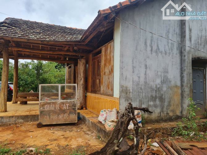 8,2 sào 300m thổ cư hai mặt tiền đường nhựa tại Ea Kued Cư Mgar DakLak - 1