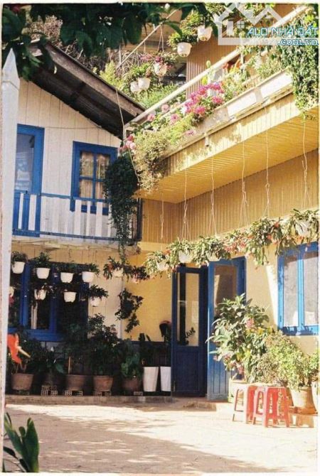 BÁN NHÀ PHƯỜNG 3 , CÓ THỂ LÀM HOME STAY   An Bình , P.3 DT :354m giá 9,5 tỷ - 1