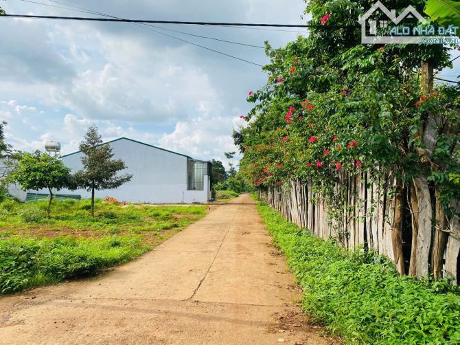Đất đối diện Kom Leo Farm Hoà Thắng hẻm Đại Lộ Đông Tây đi vào - 1