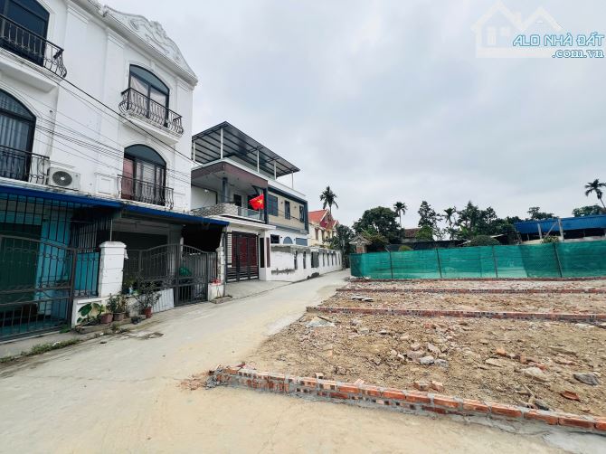 Lô đất tại: Xích Thổ, Hồng Thái, An Dương diện tích 50m ngõ 5,5m giá chỉ 1,02 tỷ - 1