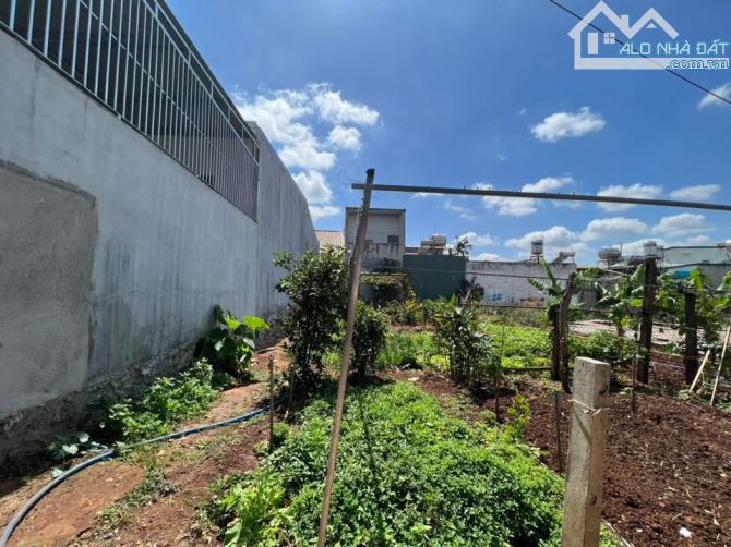 BÁN ĐẤT HẺM 246  Y MOAN - P. TÂN LỢI. DT 10x23m - TC 50m2 - HƯỚNG ĐÔNG. GIÁ 5,2 TỈ - 1