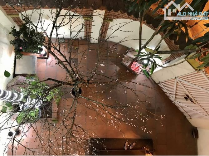 Bỏ là tiếc cả đời! Lê Thanh Nghị, Biệt thự 2 mặt ngõ. 133m2x3t, MT 6m. 16.2 tỷ! - 15