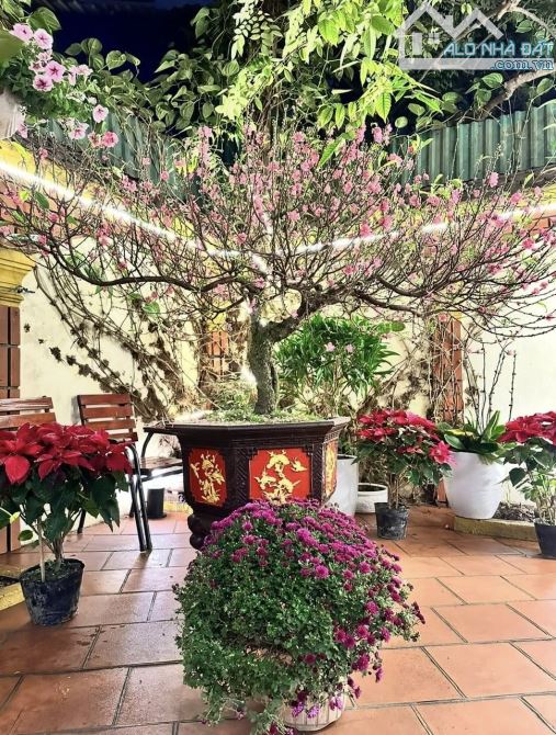 Bỏ là tiếc cả đời! Lê Thanh Nghị, Biệt thự 2 mặt ngõ. 133m2x3t, MT 6m. 16.2 tỷ! - 18