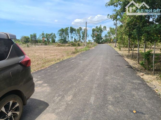 BÁN 1200M2 NGANG 40M, ĐƯỜNG NHỰA 6M THÔNG, KHU DÂN CƯ, CO 300TC GIÁ 1.5TI - 2