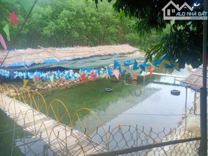BÁN LÔ ĐẤT SIÊU ĐẸP GẦN KHU DU LỊCH BẠCH MÃ – PHÙ HỢP XÂY RESORT, KINH DOANH DU LỊCH - 2