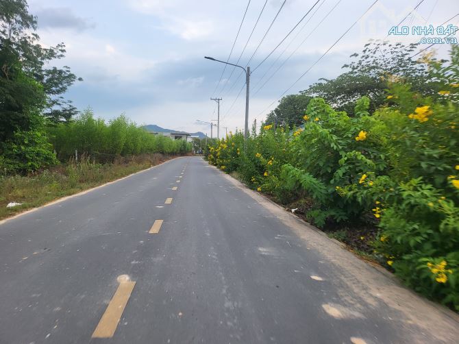 BRVT - LONG ĐẤT - TT. PHƯỚC HẢI - 4 LÔ KDC PHAN GIA - 125M2 5M X 25M - 100M2 TC - 1,2 TỶ - 2
