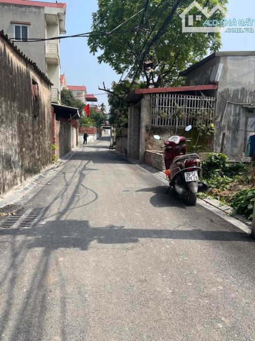 Hàng hiếm rẻ đẹp 👉 khai thái - phú xuyên - 2