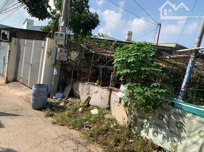 Bán lô đất 1 nhịp ĐINH QUANG ÂN đi vào 100m là tới - 2