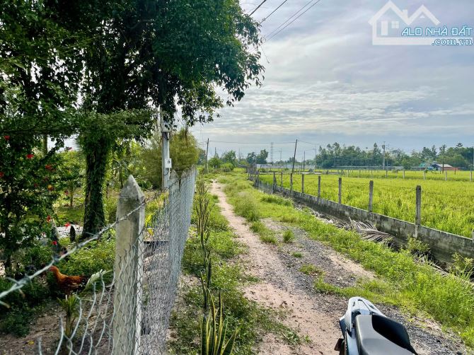Bán đất vườn xã TLH củ chi. Diện tích 500m2 như sổ. Giá bán 1 tỷ còn thương lượng. - 2