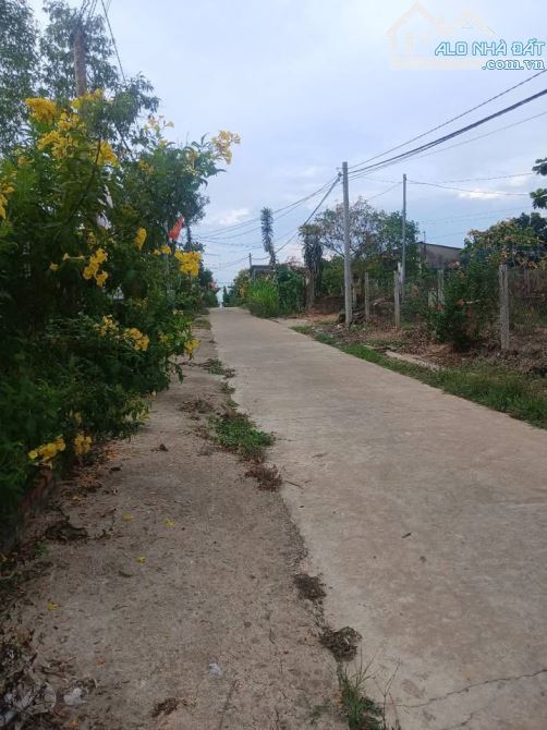 BÁN NHÀ VƯỜN SẦU RIÊNG 4299M2 ĐƯỜNG BÊ TÔNG CÓ SẴN 300M2 THỔ CƯ KHU DÂN CƯ CHỈ 1TY8 - 2