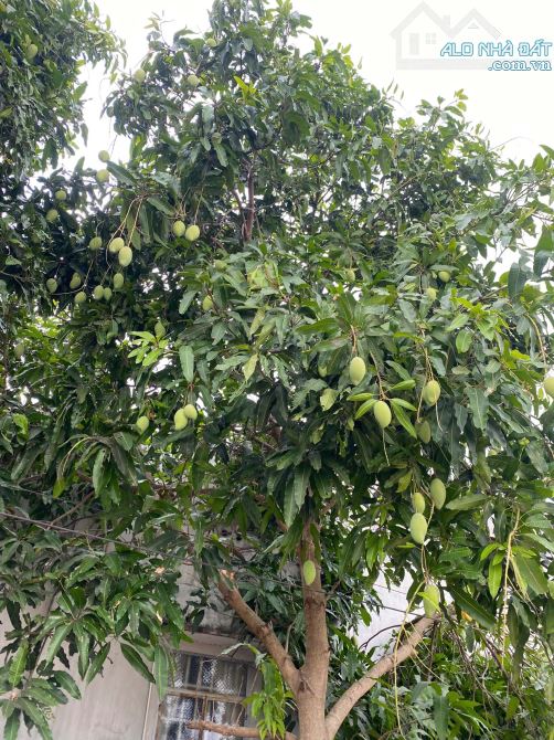 Bán 7400m2 thạnh lợi thạnh Tân chỉ có 4 tỷ 900 - 2