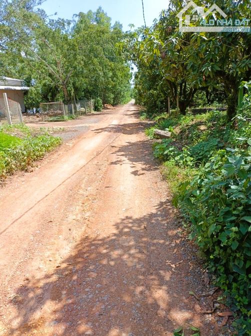 BÁN ĐẤT LÀM TRANG TRẠI CHĂN NUÔI DT 35216M2 CÓ 150M MẶT TIỀN ĐƯỜNG CHỈ 11 TỶ - 2