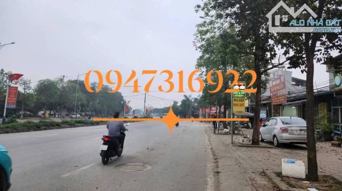 Lô đất cực Vip cực tiềm năng, kinh doanh đỉnh tại Đại Mạch, Đông Anh - 2