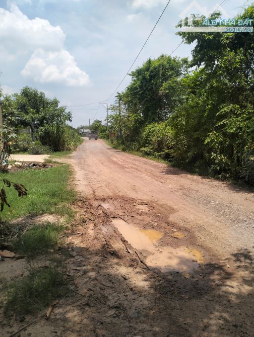 ĐẤT VƯỜN 6M X 56M LỘC HÒA LỘC HƯNG SHR GIÁ 950 TRIỆU THƯƠNG LƯỢNG - 2