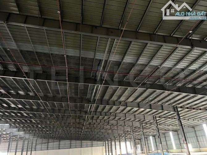 CHO THUÊ KHO XƯỞNG CẦN THƠ 10.000m2 - KCN TRÀ NÓC - 2