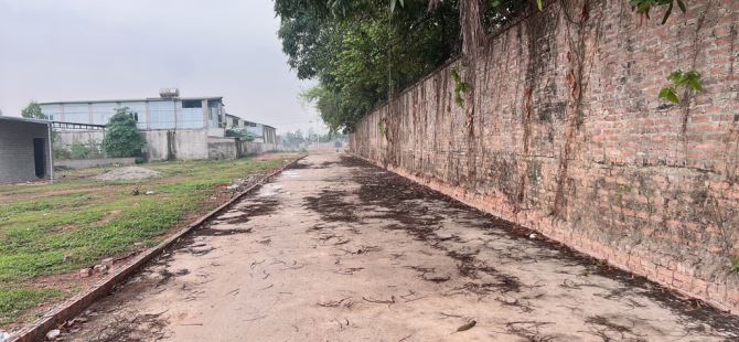 🔥🔥BÁN ĐẤT ĐẸP TẠI MINH PHÚ – SÓC SƠN | FULL THỔ CƯ – OTO TRÁNH – GIÁ CỰC MỀM - 2
