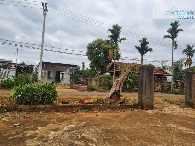 8,2 sào 300m thổ cư hai mặt tiền đường nhựa tại Ea Kued Cư Mgar DakLak - 2