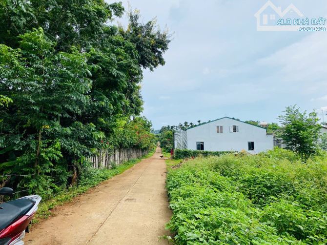 Đất đối diện Kom Leo Farm Hoà Thắng hẻm Đại Lộ Đông Tây đi vào - 2