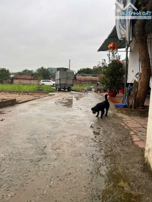 ✨️100 m² FULL THỔ CƯ Thắng Trí -Minh Tri-Sóc Sơn-HN - 2