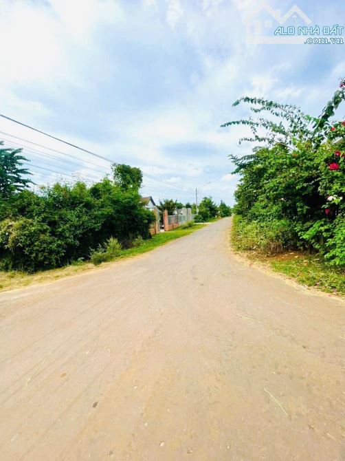 Bán lô đất chân dài sau chợ Ea Kao 5x50 tc60 mà chỉ 990 triệu - 2