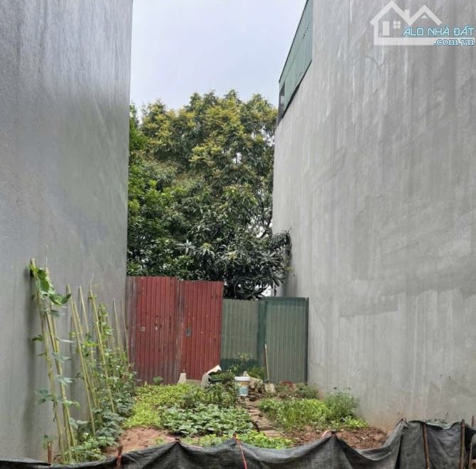 Bán 60m2 đất phân lô, vỉa hè, ngay Tây Nam Linh Đàm, siêu hiếm còn sót lại - 2