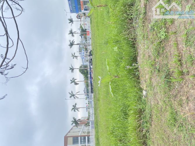 Cần Bán 300m2 Lô Góc Dự Án Anh Dũng 7 -Hải Phòng - 3