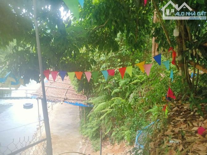 BÁN LÔ ĐẤT SIÊU ĐẸP GẦN KHU DU LỊCH BẠCH MÃ – PHÙ HỢP XÂY RESORT, KINH DOANH DU LỊCH - 3