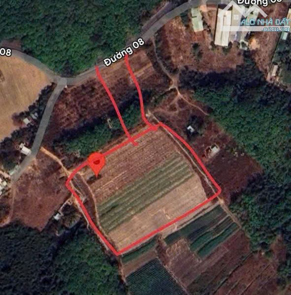 Bán đất 15.172m² Vĩnh Tân, Tân Uyên, Bình Dương – 12.500m² SKC, có GPXD, GPMT, PCCC, giá - 3