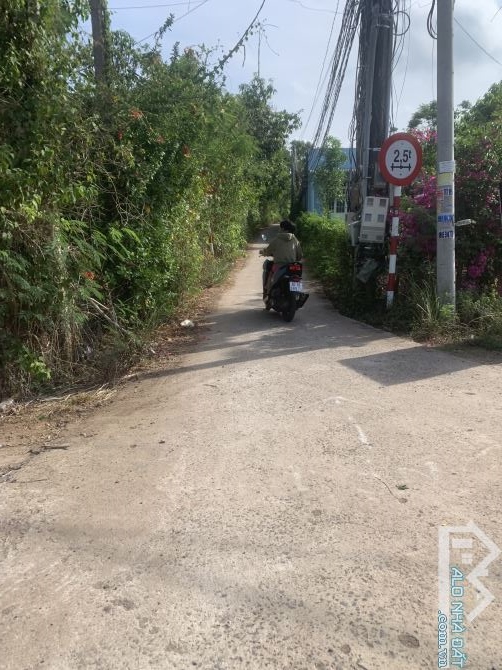 Bán đất xã Xuân bảo huyện Cẩm Mỹ tỉnh đồng Nai - 3