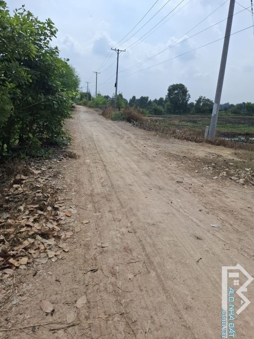 4,5ha quy hoạch SKC MT đường nhựa tại xã Mỹ Thạnh Đông Đức Huệ - 3