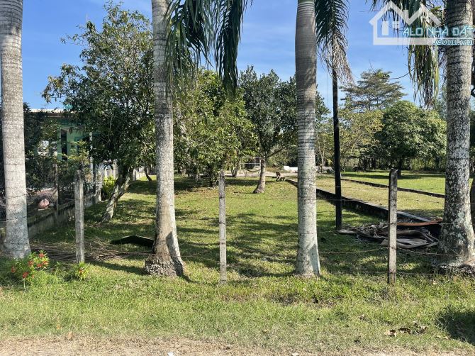 Chủ gửi bán đất xã TLT củ chi. Diện tích 270m2 thổ cư. Giá bán 2 tỷ 200 triệu có bớt. - 3