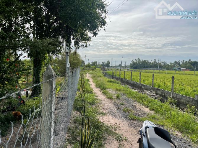 Bán đất vườn xã TLH củ chi. Diện tích 500m2 như sổ. Giá bán 1 tỷ còn thương lượng. - 3
