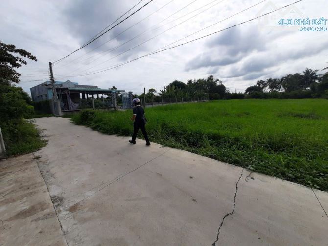 Bán Đất Thổ + Vườn 1085m2 Sau Uỷ Ban Xã Tân Trạch, Cần Đước, Long An - 3