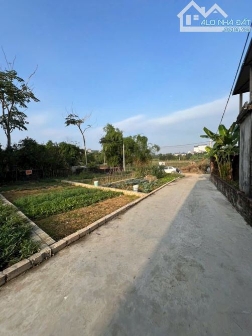 Gia đình cần bán lô đất diện tích 66,8m², vị trí đắc địa tại Thôn 1, Hạ Bằng, Thạch Thất, - 3