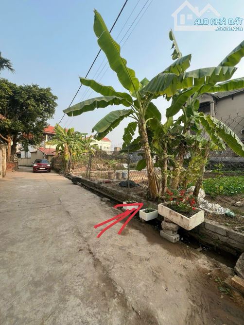 Cần bán 87,4m đất tại Hoà bình thượng - 3