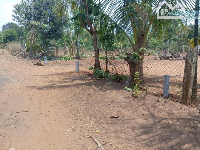 Ea Tiêu 3 lô liền kề ngay khu dân cư và trung tâm hành chính - 3