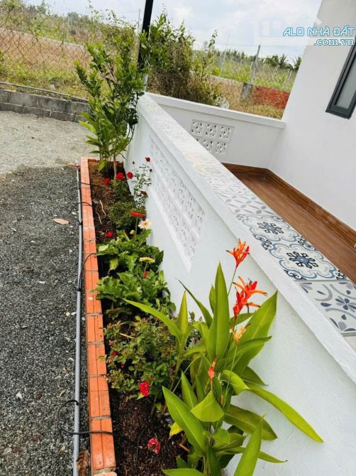 BÁN VIEW NGHĨ DƯỠNG TẠI LONG TÂN ĐẤT ĐỎ, DT 1055M2 CO 300TC, CÓ NHÀ CÂP 4 - 3