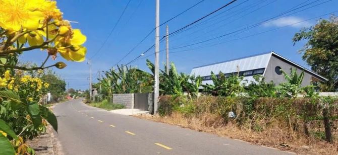 BÁN VIEW NGHĨ DƯỠNG PHƯỚC THUẬN, XUYÊN MỘC, ĐẤT FULL HỒNG, VIEW LÚA CỰC CHILL, GIÁ 3.2 TỈ - 3