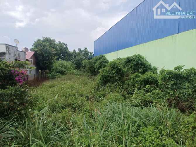 Bán đất mạt tiền DH1 kinh doanh buôn bán Dt 10x100m tc196m2 giá 3ty - 3